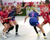 Simone Spur Petersen, TuS Metzingen, Kurpfalz Bären - TuS Metzingen<br />Foto: Daniel Glaser, Kurpfalz Bären Simone Spur Petersen, TuS Metzingen, Kurpfalz Bären - TuS Metzingen<br />Foto: Daniel Glaser, Kurpfalz Bären